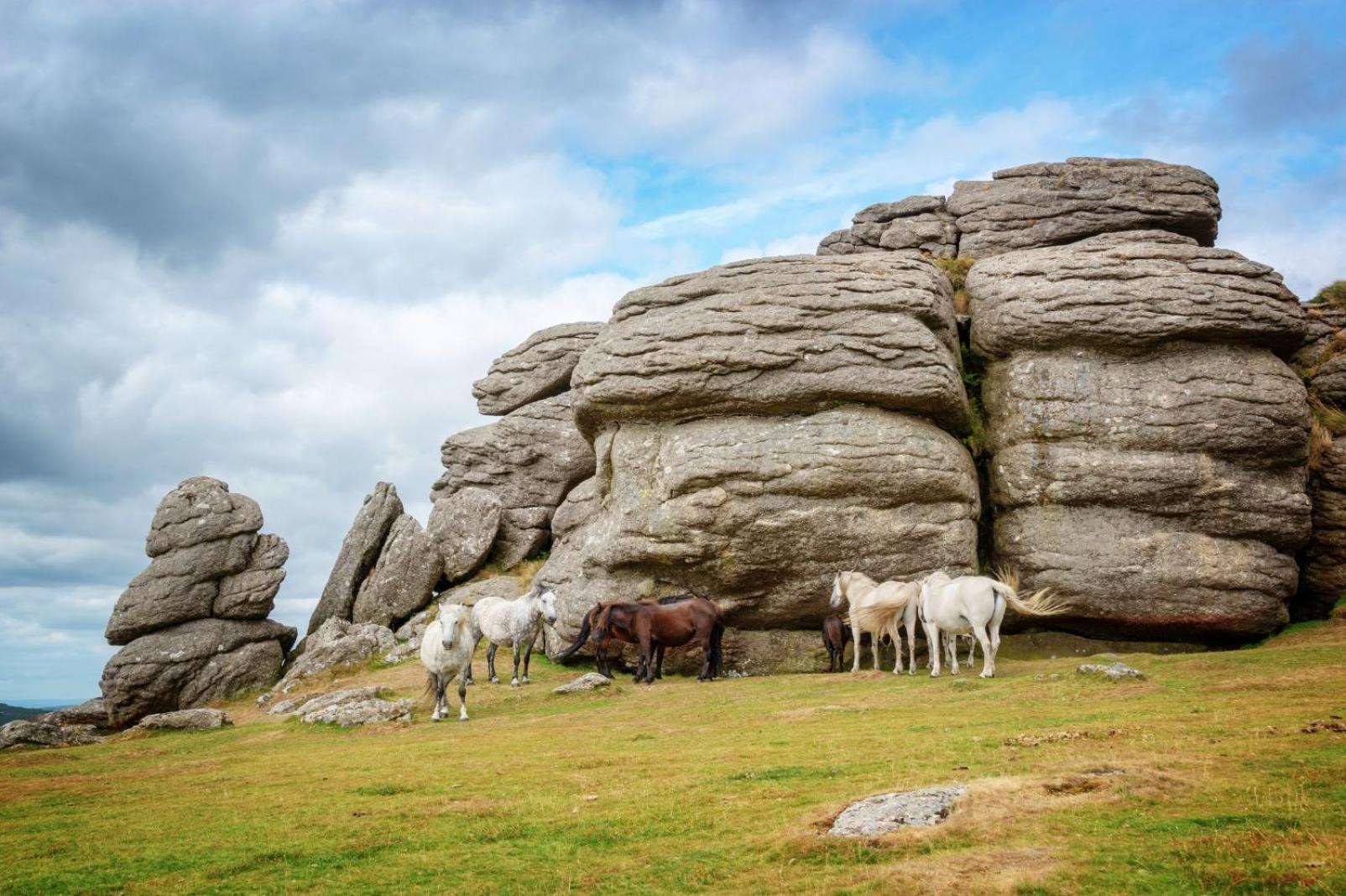 Gerry'S Cottage بركسهام المظهر الخارجي الصورة